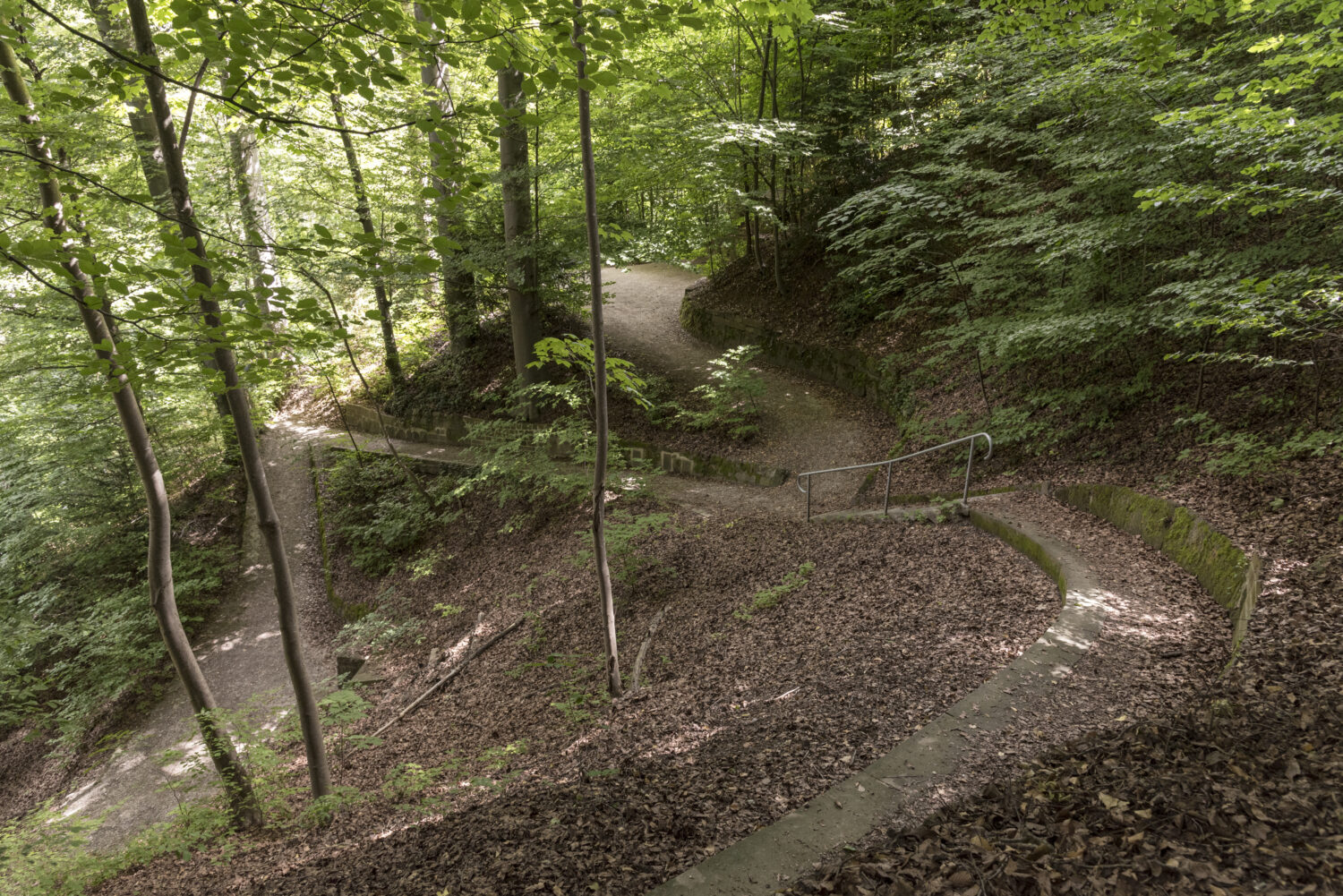 Schulthess Gartenpreis 2024 - Englische Anlagen Bern